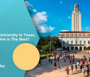 10 Top University in Texas, Which One is The Best?