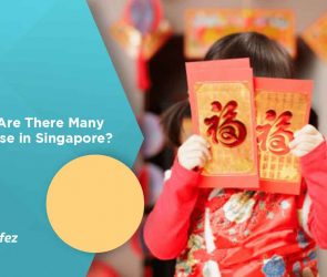 Why Are There Many Chinese in Singapore