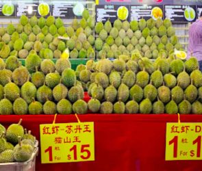 Durian Singapore: Season and Where to Get Best Durian in Singapore