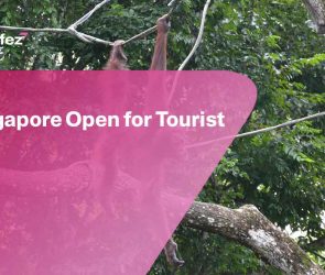 Singapore Open for Tourist