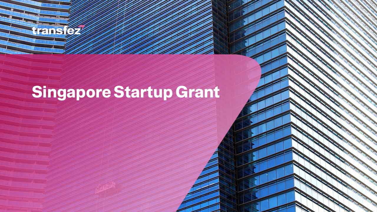 Singapore Startup Grant