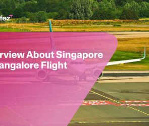 Singapore to Bangalore Flight