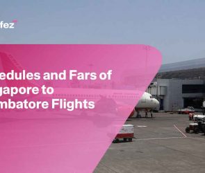 Singapore to Coimbatore Flights