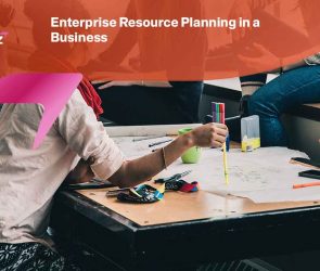 Enterprise Resource Planning