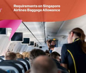 Singapore Airlines Baggage Allowance