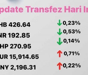 Today's Transfez Rate Update 11 November 2022