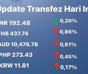 Today's Transfez Rate Update 14 November 2022