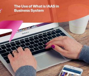 What is IAAS in Business System