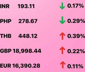 Today's Transfez Rate Update 01 December 2022