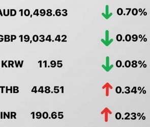 Today's Transfez Rate Update 06 December 2022