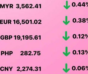 Today's Transfez Rate Update 12 December 2022