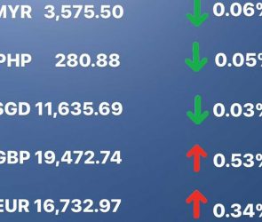 Today's Transfez Rate Update 15 December 2022