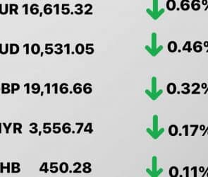 Today's Transfez Rate Update 19 December 2022