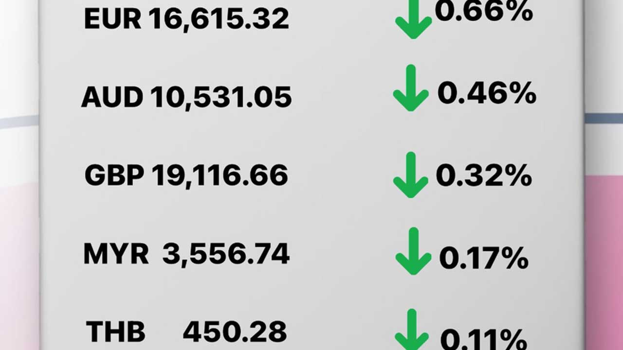 Today's Transfez Rate Update 19 December 2022