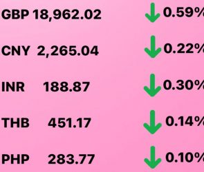 Today's Transfez Rate Update 22 December 2022