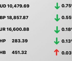 Today's Transfez Rate Update 23 December 2022