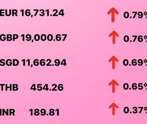 Today's Transfez Rate Update 27 December 2022