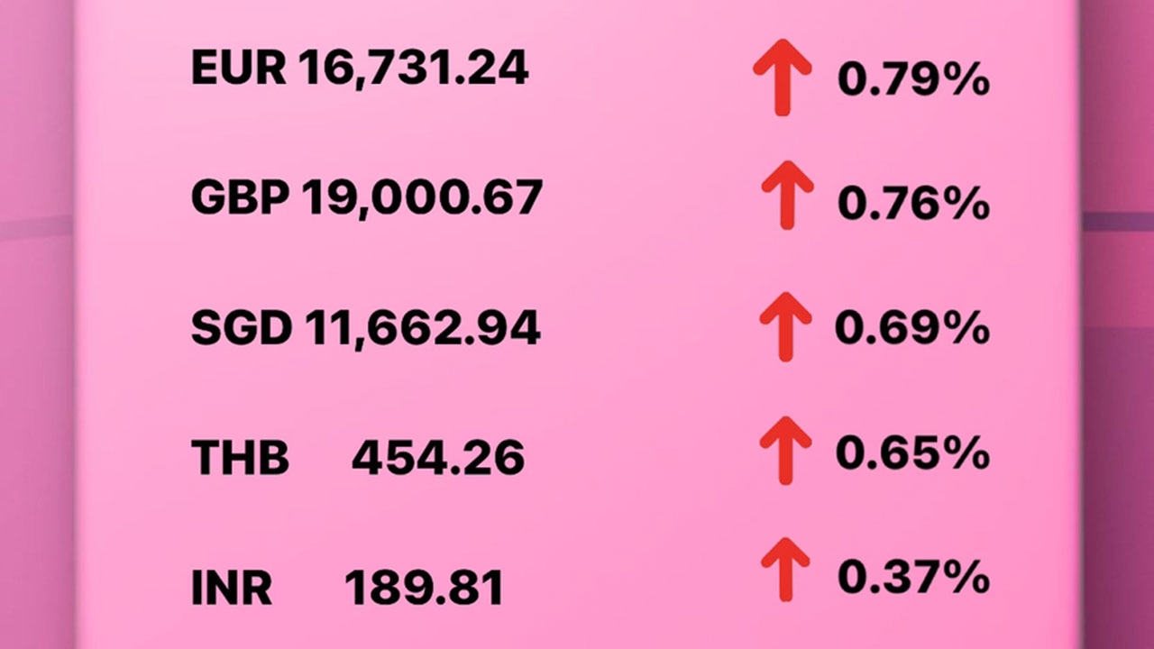 Today's Transfez Rate Update 27 December 2022