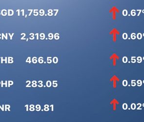 Today's Transfez Rate Update January 09 2023