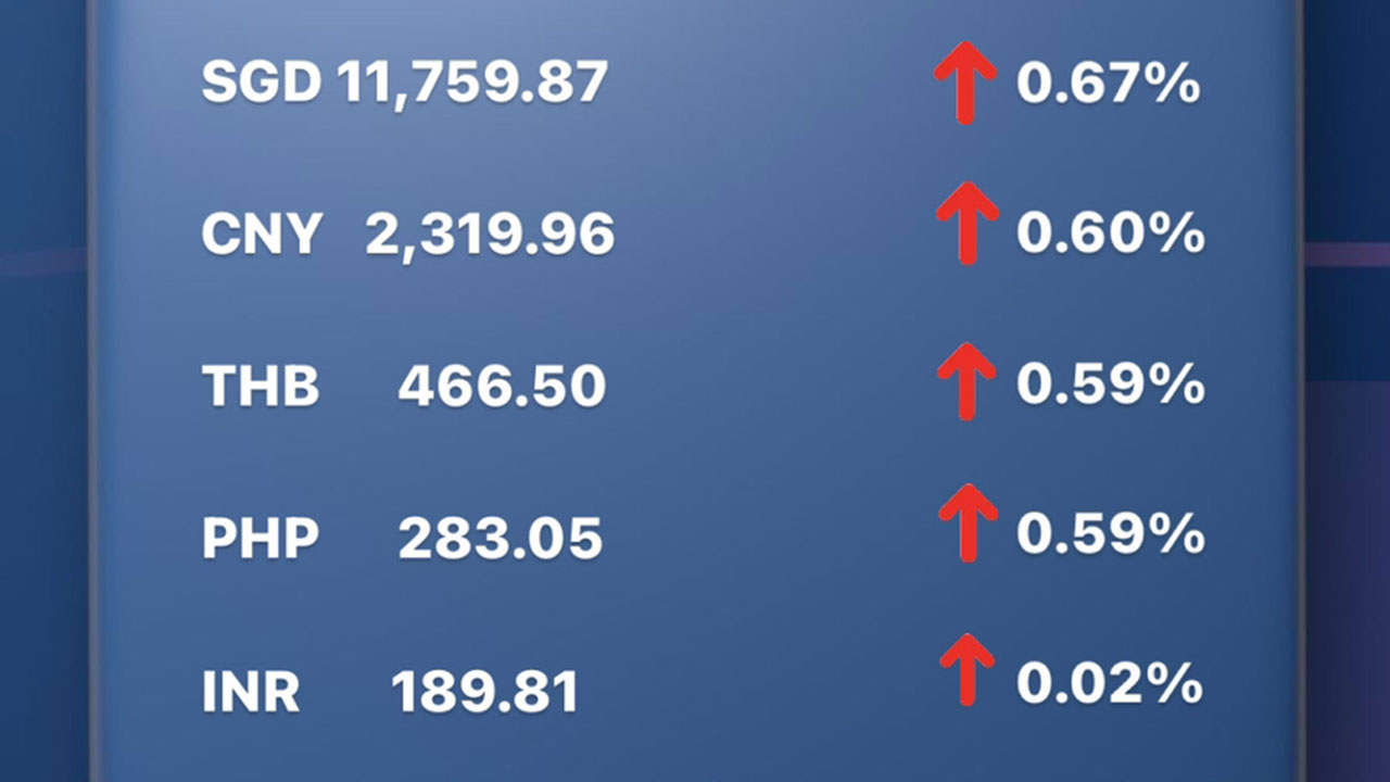 Today's Transfez Rate Update January 09 2023