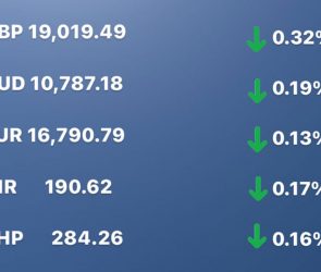 Today's Transfez Rate Update January 11 2023