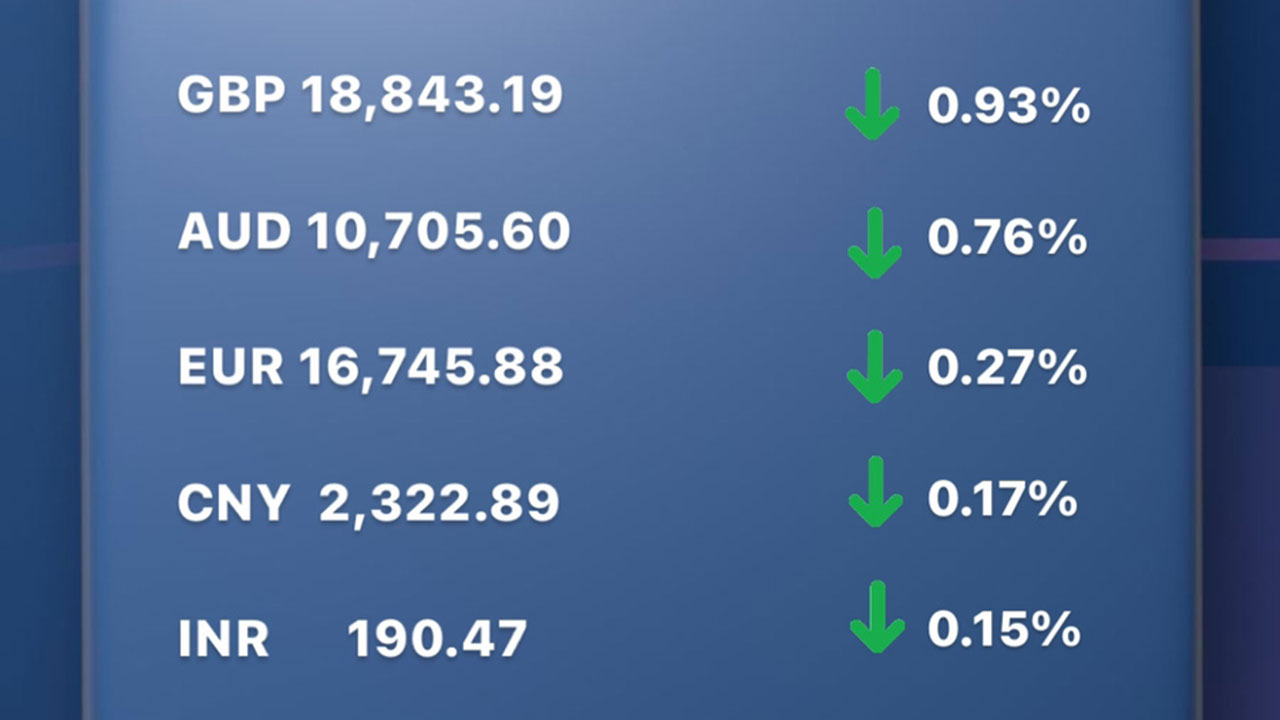 Today's Transfez Rate Update January 12 2023