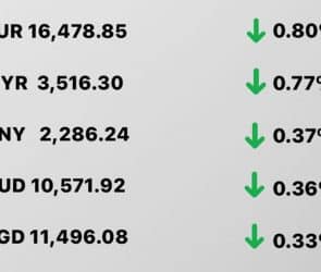 Today's Transfez Rate Update January 16 2023