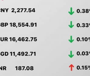 Today's Transfez Rate Update January 17 2023