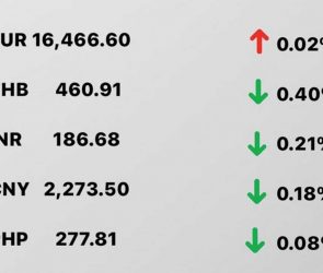 Today's Transfez Rate Update January 18 2023