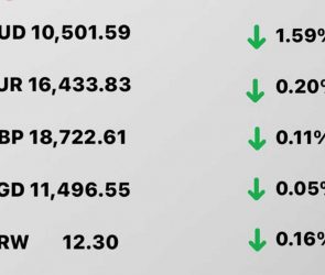 Today's Transfez Rate Update January 19 2023