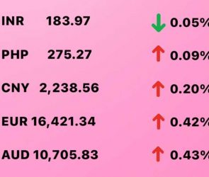 Today's Transfez Rate Update January 26 2023