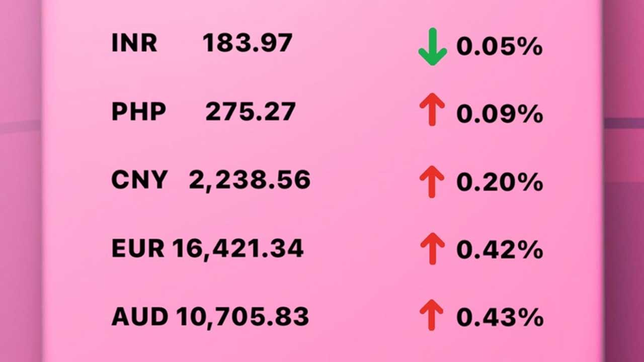 Today's Transfez Rate Update January 26 2023