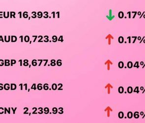 Today's Transfez Rate Update January 27 2023