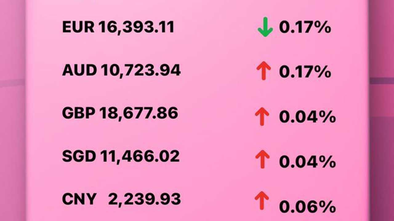 Today's Transfez Rate Update January 27 2023