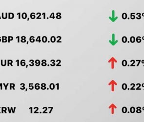 Today's Transfez Rate Update January 31 2023