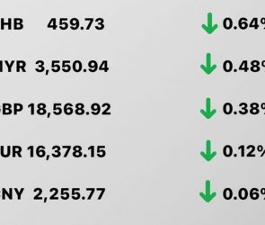 Today's Transfez Rate Update February 01 2023