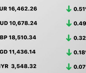 Today's Transfez Rate Update February 02 2023