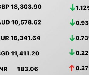 Today's Transfez Rate Update February 03 2023