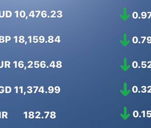 Today's Transfez Rate Update February 06 2023