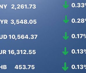 Today's Transfez Rate Update February 09 2023