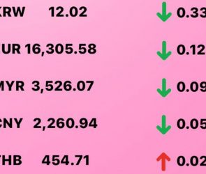 Today's Transfez Rate Update February 13 2023