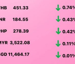 Today's Transfez Rate Update February 14 2023