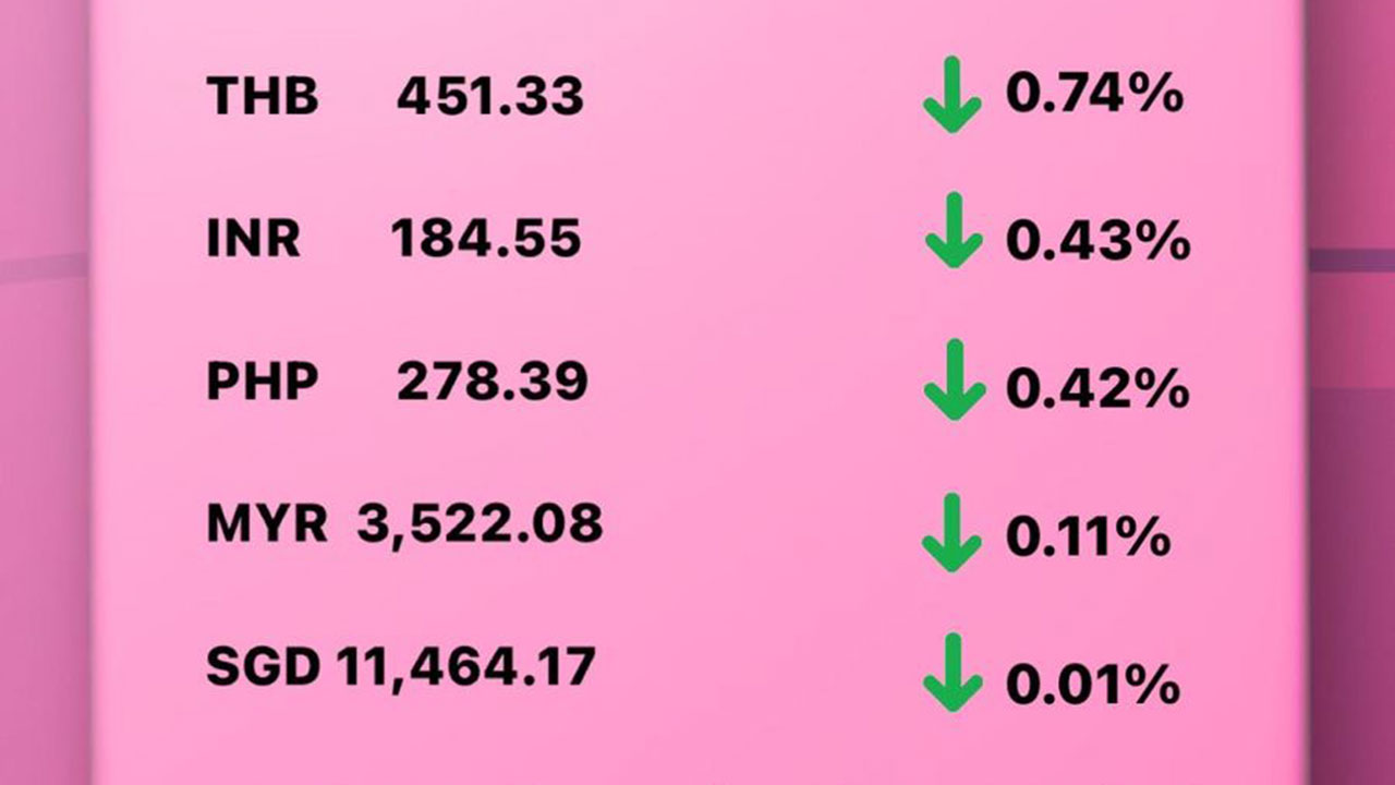 Today's Transfez Rate Update February 14 2023