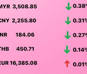 Today's Transfez Rate Update February 15 2023