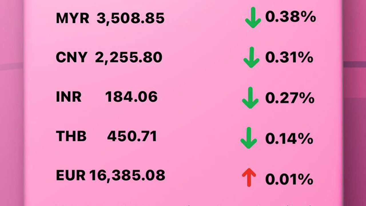 Today's Transfez Rate Update February 15 2023