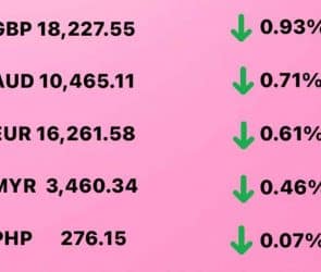 Today's Transfez Rate Update February 17 2023