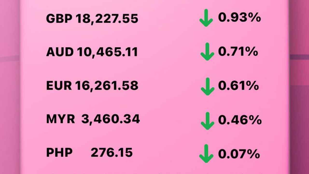 Today's Transfez Rate Update February 17 2023