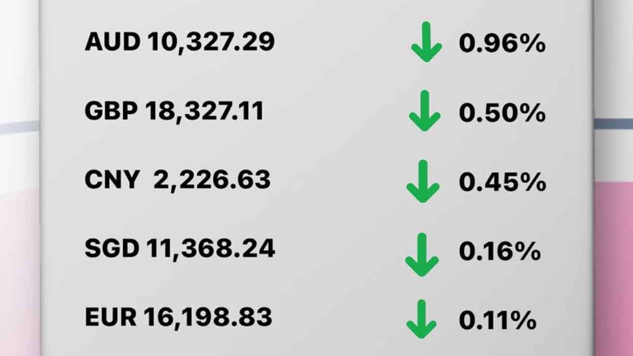 Today's Transfez Rate Update February 27 2023