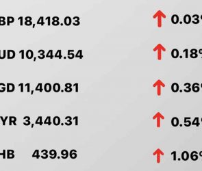 Today's Transfez Rate Update March 02 2023