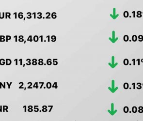 Today's Transfez Rate Update March 03 2023